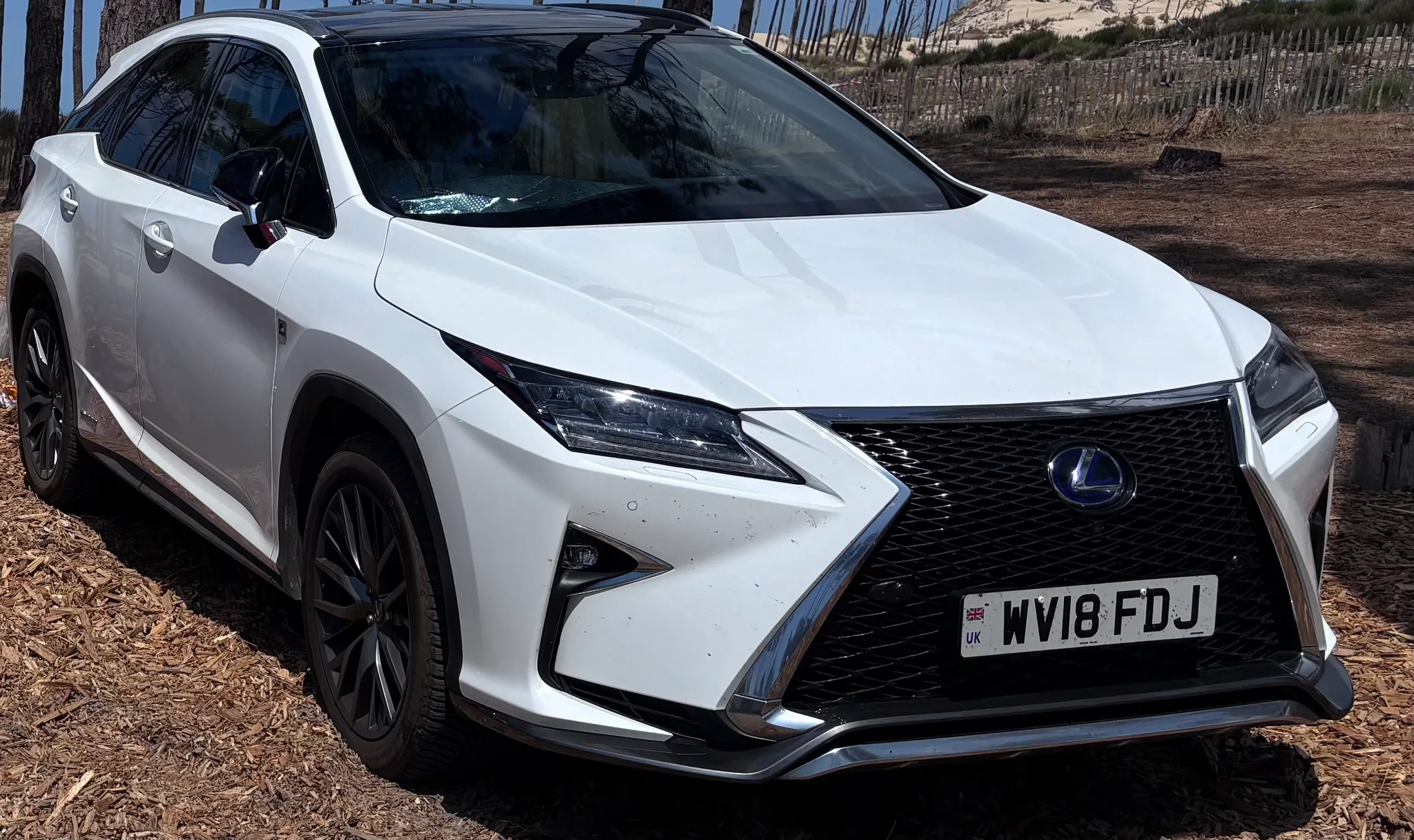 Lexus Rx WV18 FDJ